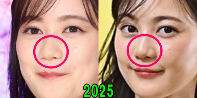 生田絵梨花の2025年の鼻の画像